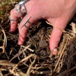 Ren’s hand, a white person’s hand with many silver rings on it presses into dirt with grass all around. It is sunny, and the grass is just coming back to life: its spring.
